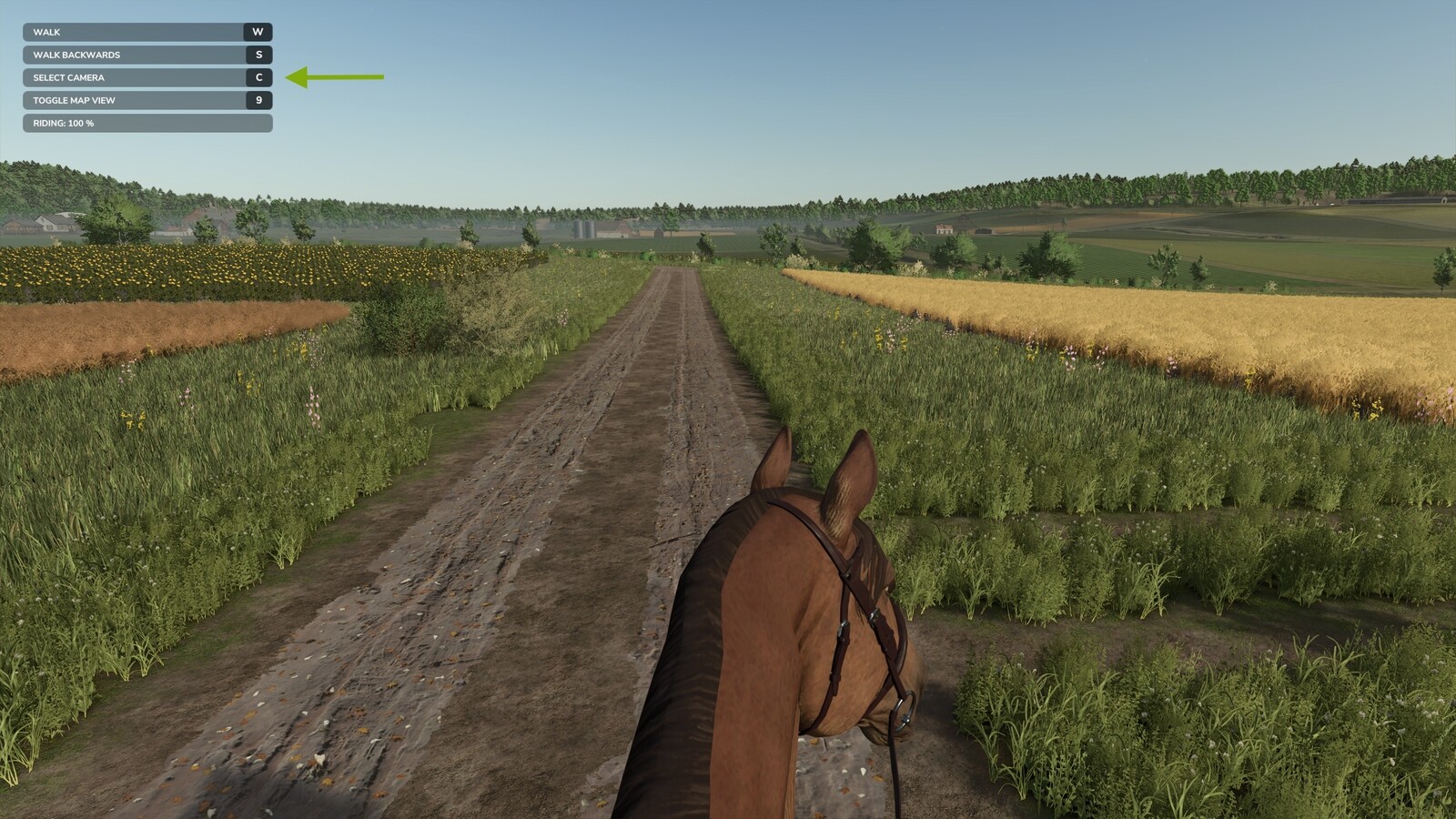 First Person Horse Riding Camera