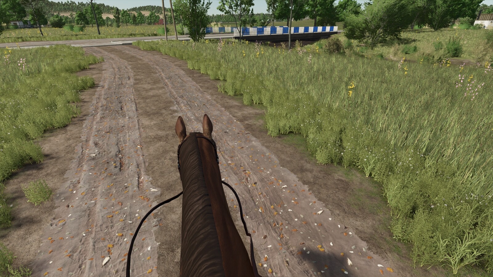 First Person Horse Riding Camera