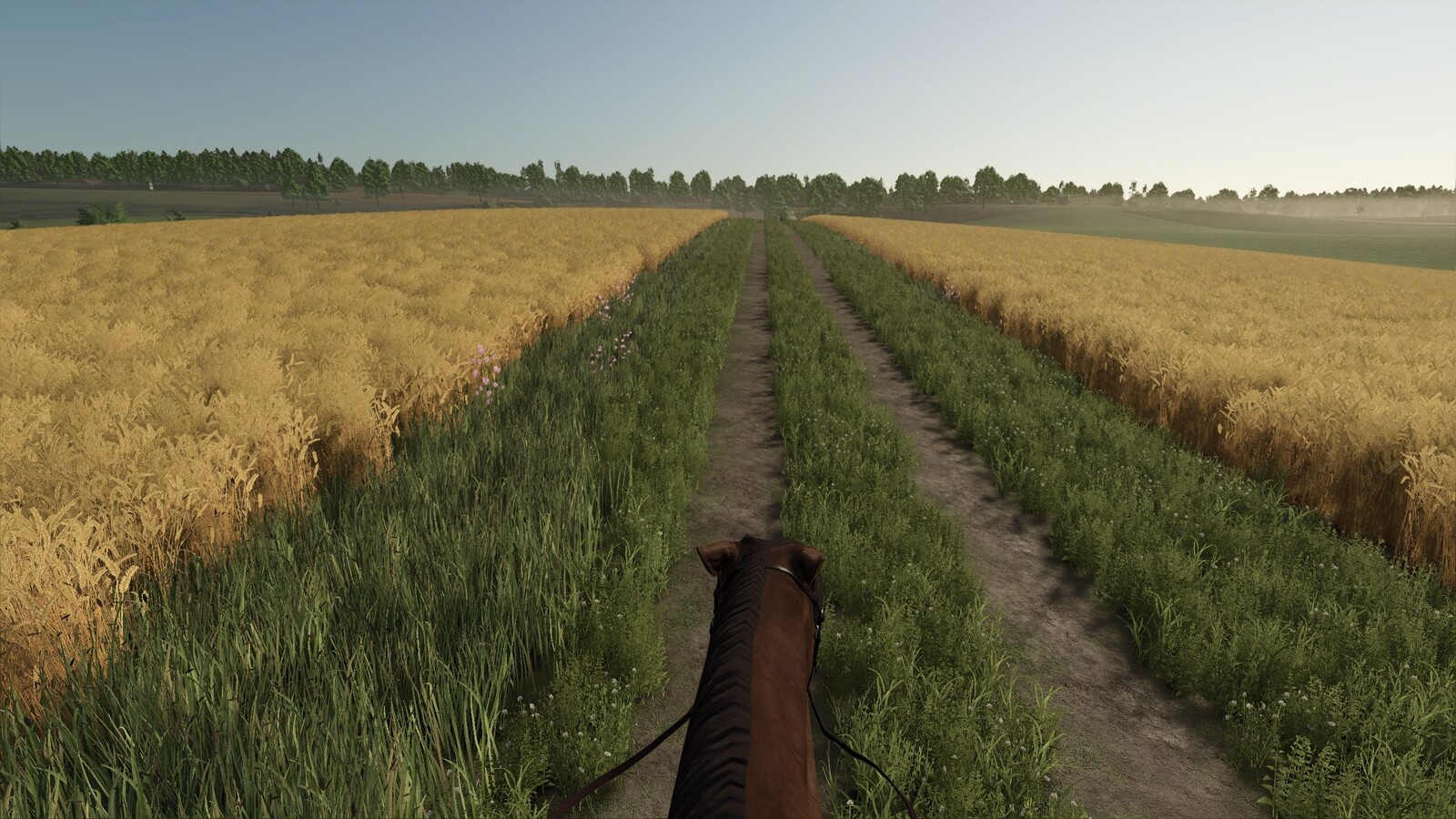 First Person Horse Riding Camera