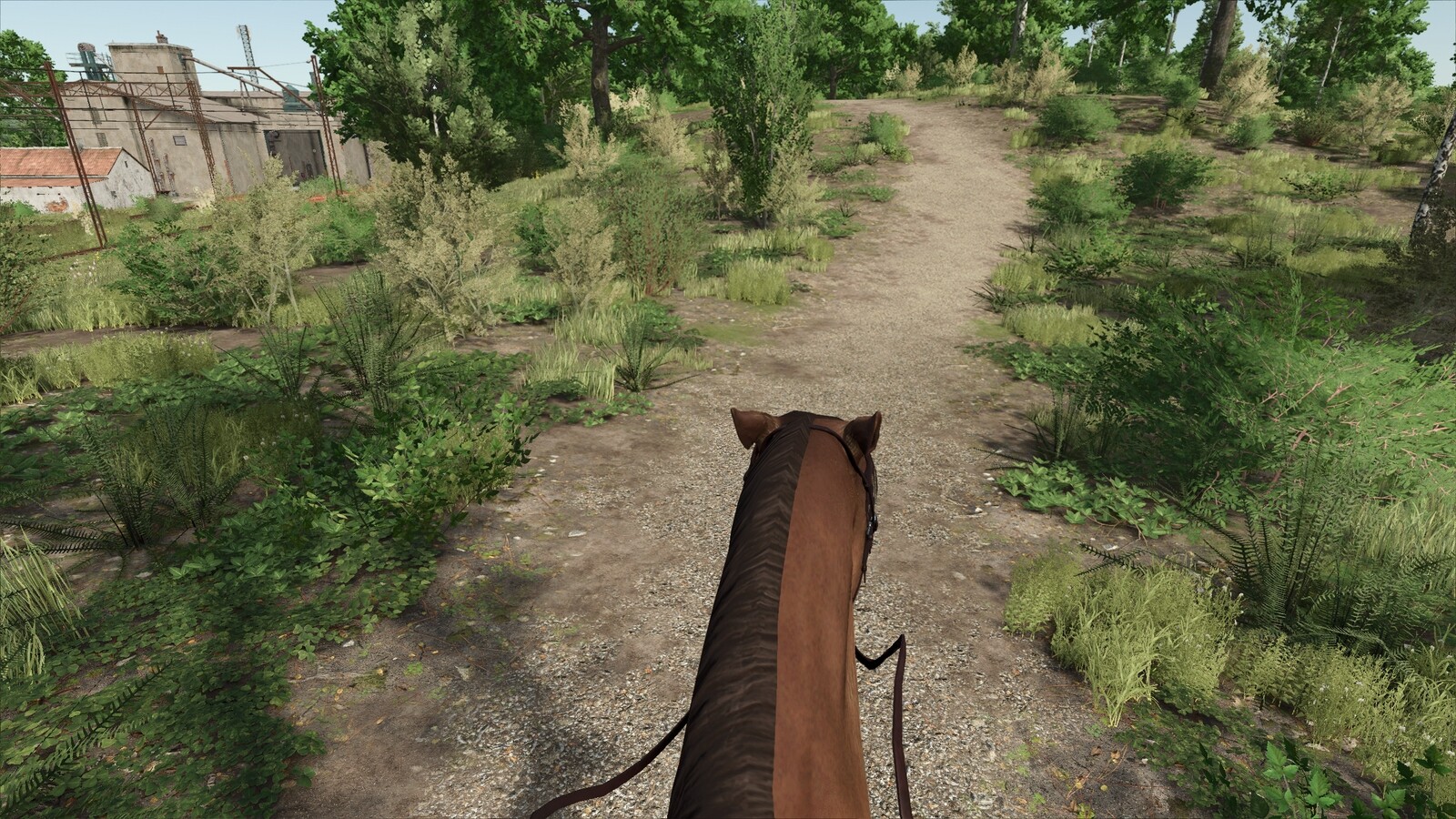 First Person Horse Riding Camera