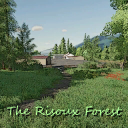 The Risoux Forest