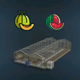 Vegetable Greenhouses Melons, Watermelons