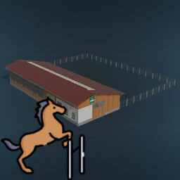 Horse Training Facility