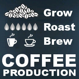 Coffee Production