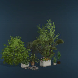 Decotrees And Decoplants